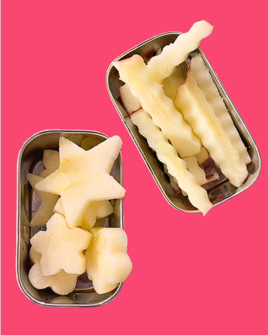 Stainless Steel Snack Containers (Set of 2)